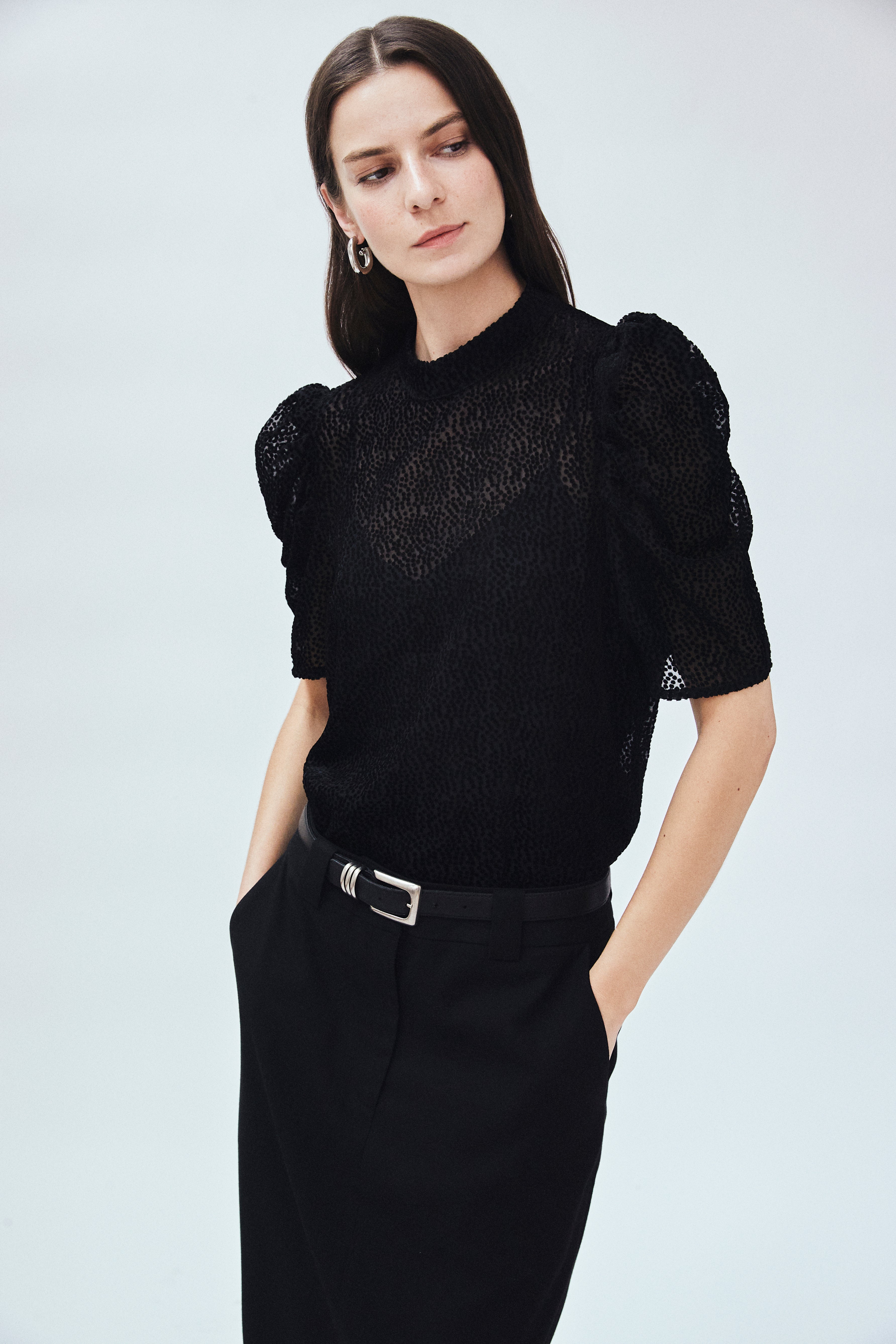 Zara sheer best sale sleeve top